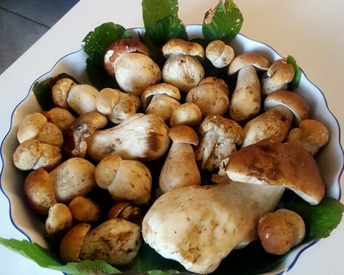 Corsi di cucina Torino: Corso di cucina a base di funghi 