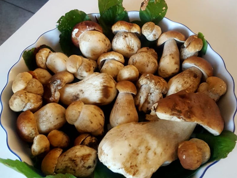 Corsi di cucina Torino: Corso di cucina a base di funghi 