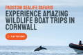 padstow sealife safari link 