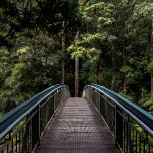 Ionut Cristian Avatar