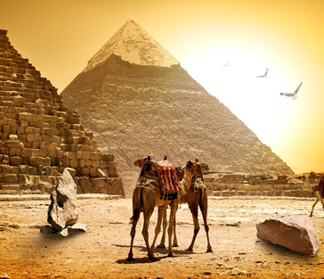 Поездка в Каир. Великие пирамиды.Сфинкс. Каирский музей 