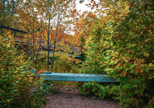 Falling into the season