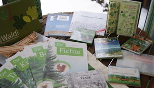 bildungsstätte begegnung im burgholz waldkiste