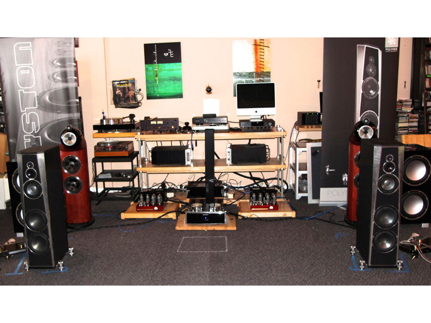 Polymer Audio Research MKS-X cost no object Diamond REF Speakers !