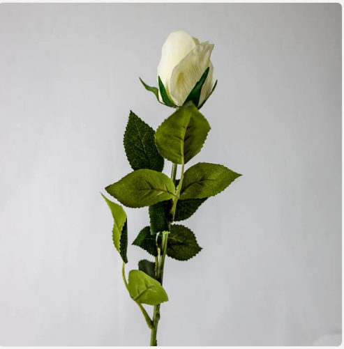 Bridal White Real Touch Open Bud Rose - Realistic Artificial Flowers - Image 2