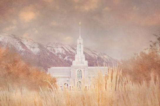 Mount Timpanogos Temple from across a wheat field.