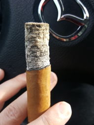 Cigar Session Photo