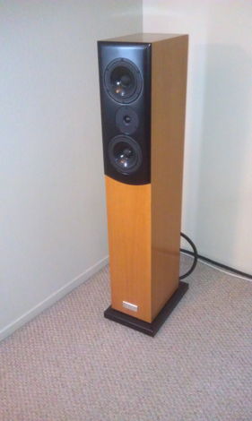 Salk  Songtowers QWT Great condition, Oak!
