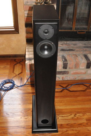 Audio Physic Virgo Full-Range Speakers - Black Ash Fini...