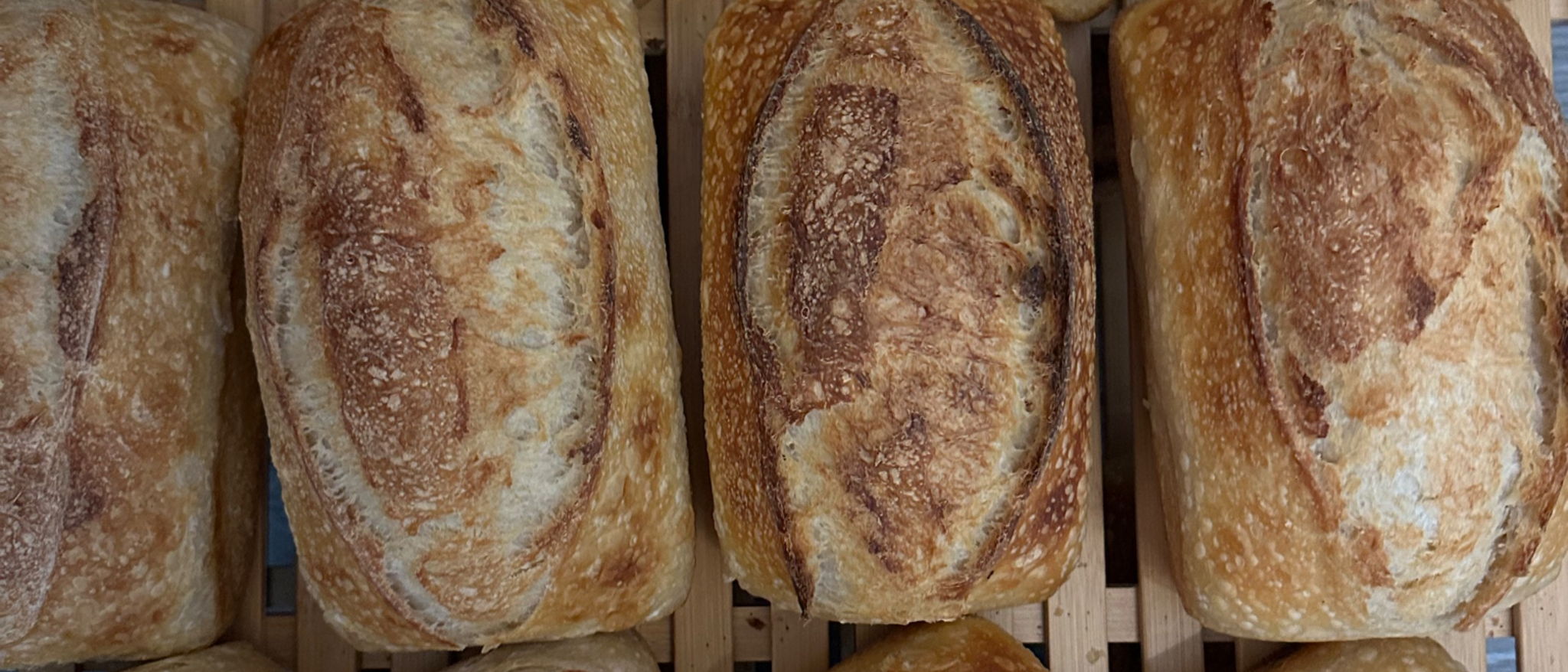 CarbQueen Sourdough   l  Crystal Myers — photo from hotplate.com