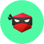 logo Backup Ninja