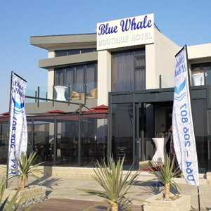 Guest Hub - Blue Whale Boutique Hotel and Restaurant