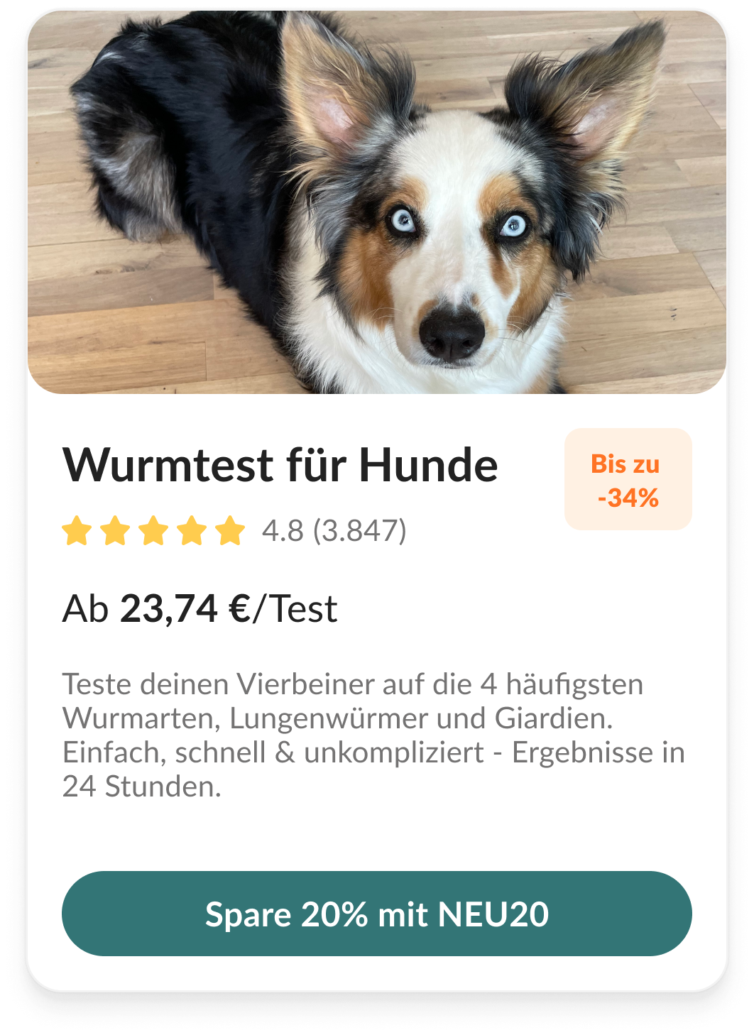 Wurmtest für Hunde