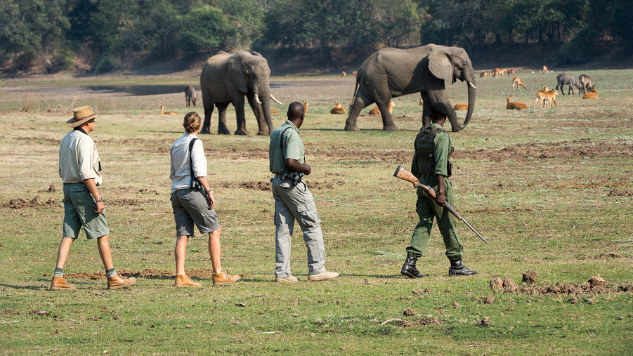 5 Day Explore South Luangwa Unique Safari