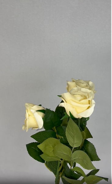 Cream Real Touch Half Bloom Roses - Realistic Artificial Flowers - Image 3