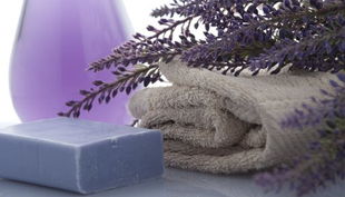 sdp soap party lavendel seife