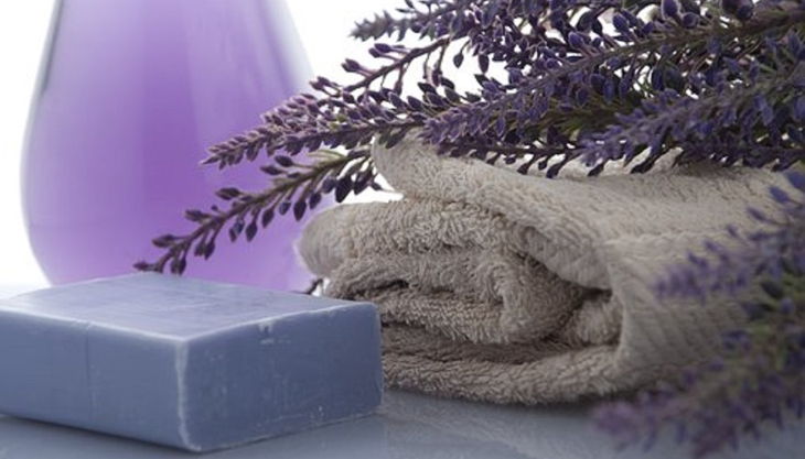 sdp soap party lavendel seife