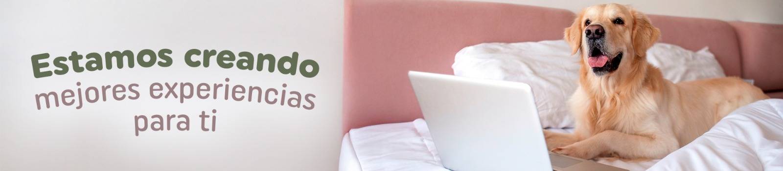 zignature - energía real para su día a día