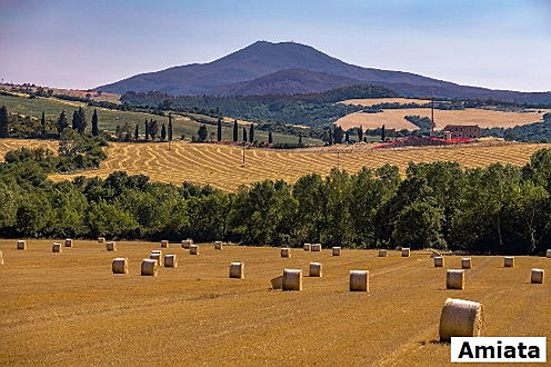  Siena (SI)
- E&V Amiata.jpg