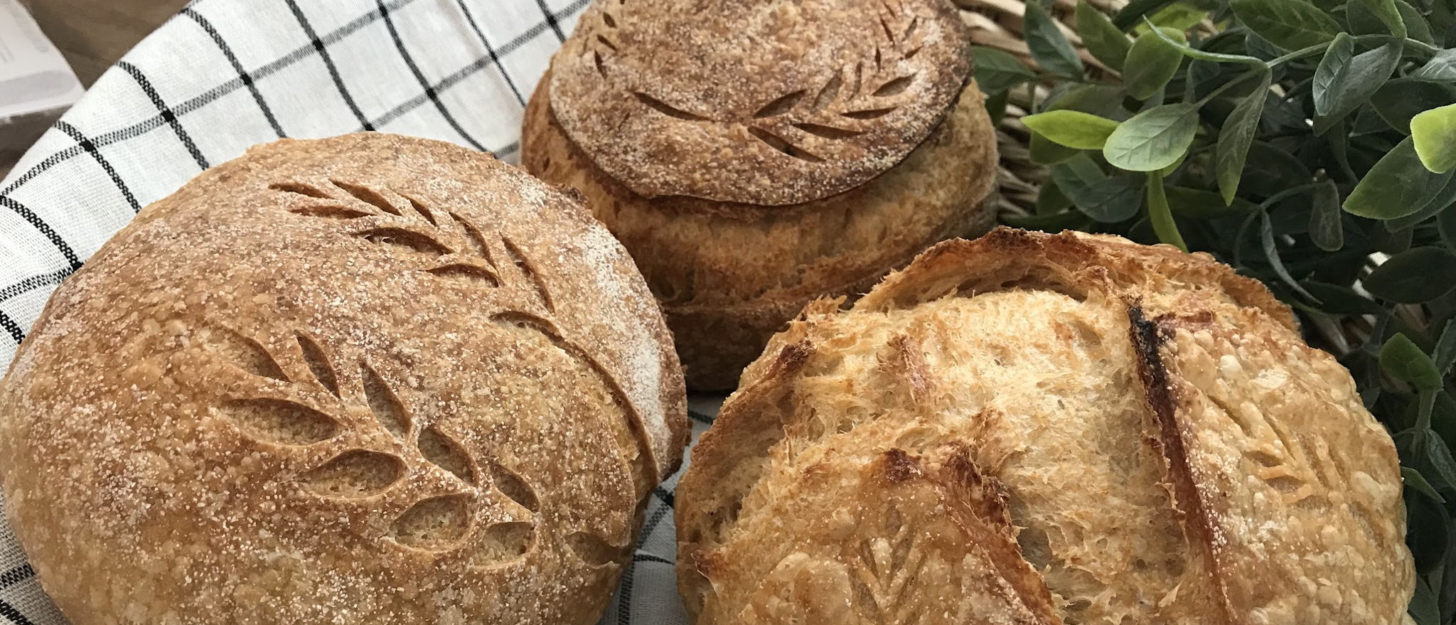 Your Bread Girl || Catherine — photo from hotplate.com