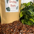 Close up of Elm Dirt Orchid Bark