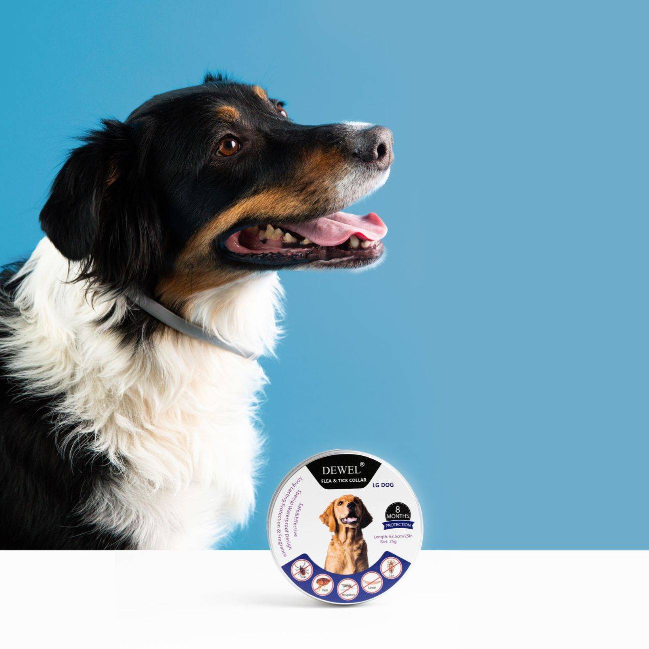 DEWEL™ 8-Month Flea & Tick Protection Collar