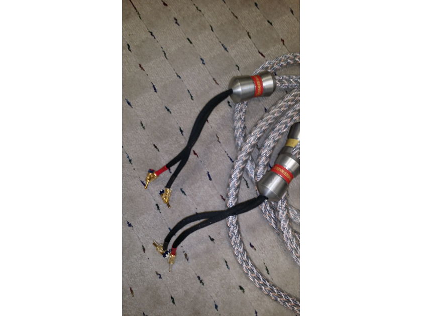 Kimber Kable KS 3033 Speaker cables 10' foot pair Banana all around