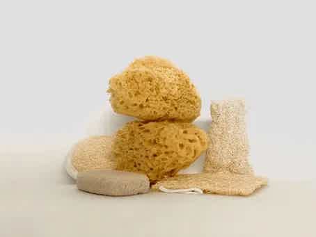 Environmental Detox and Signs of Toxin Overload