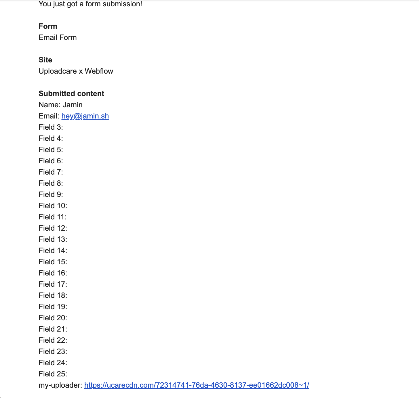 Example of empty fields in form submission due to File Uploader component