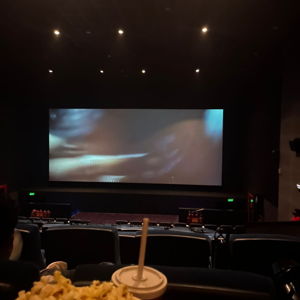 Salida al cine