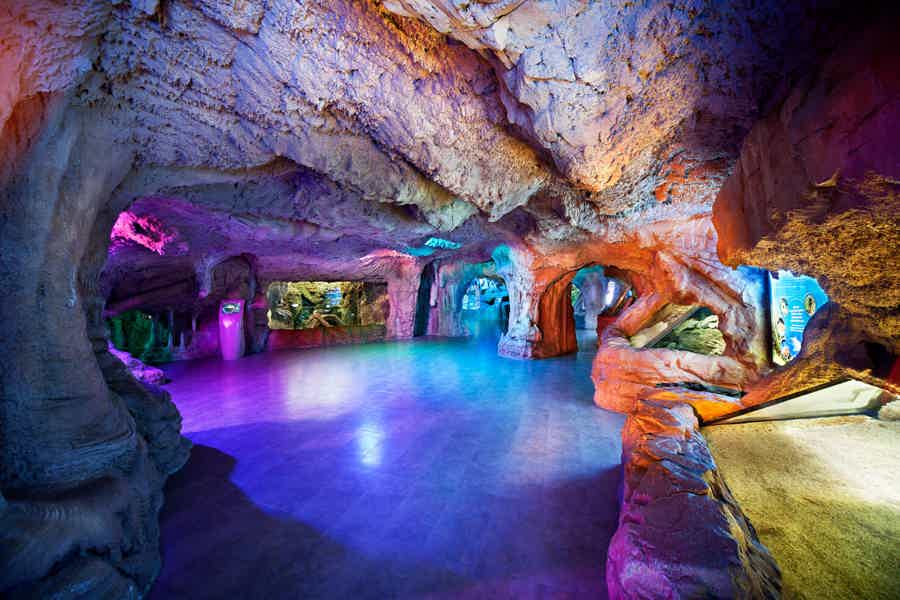 Istanbul Aquarium Florya with Transfer - photo 4