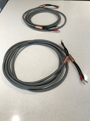 Organic Audio Speaker Cables By Argento Audio at 5 mete...