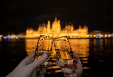 Unlimited Soft Open Bar Cruise