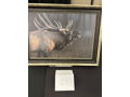 “Reveille” Elk Print