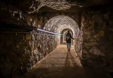 Take part in a true journey through time