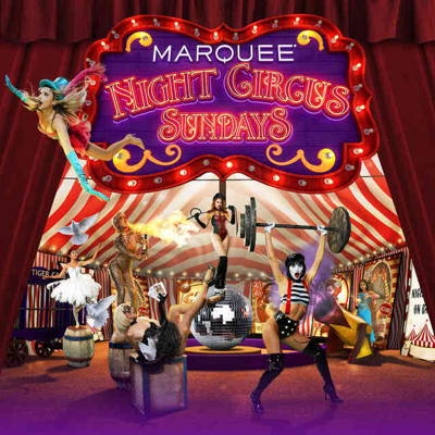 DJ Sourmilk - Night Circus Las Vegas