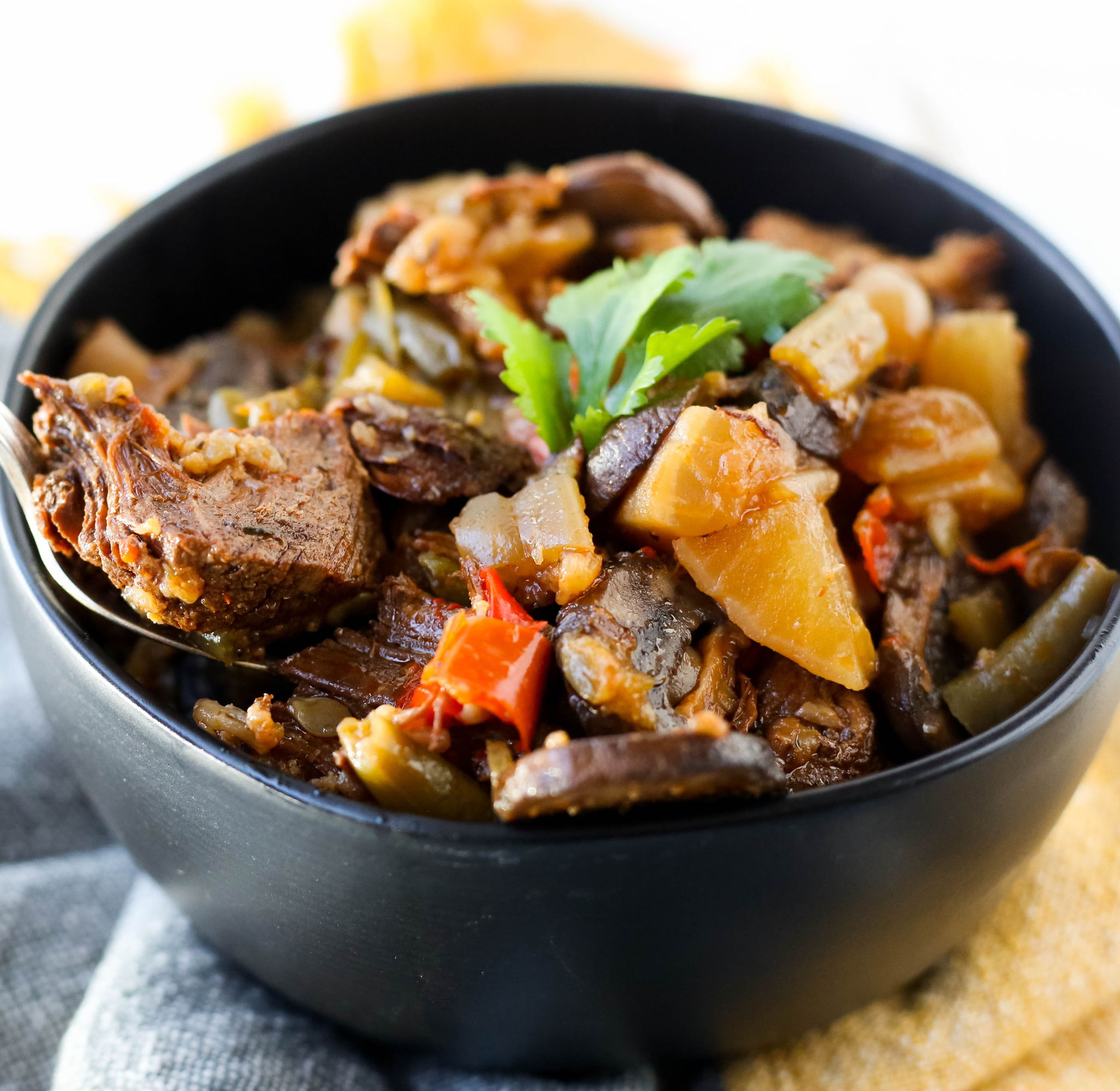 Instant Pot Beef Stew