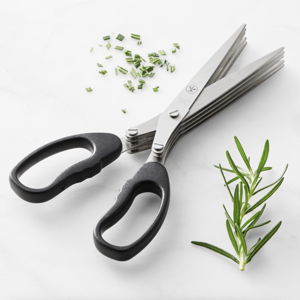 Open Kitchen Herb Shears (purchased in Israel)