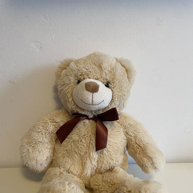 Kuscheltier, Teddybär 