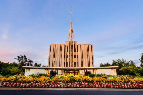 Seattle Temple standing behind a row of red and yellow flowers.