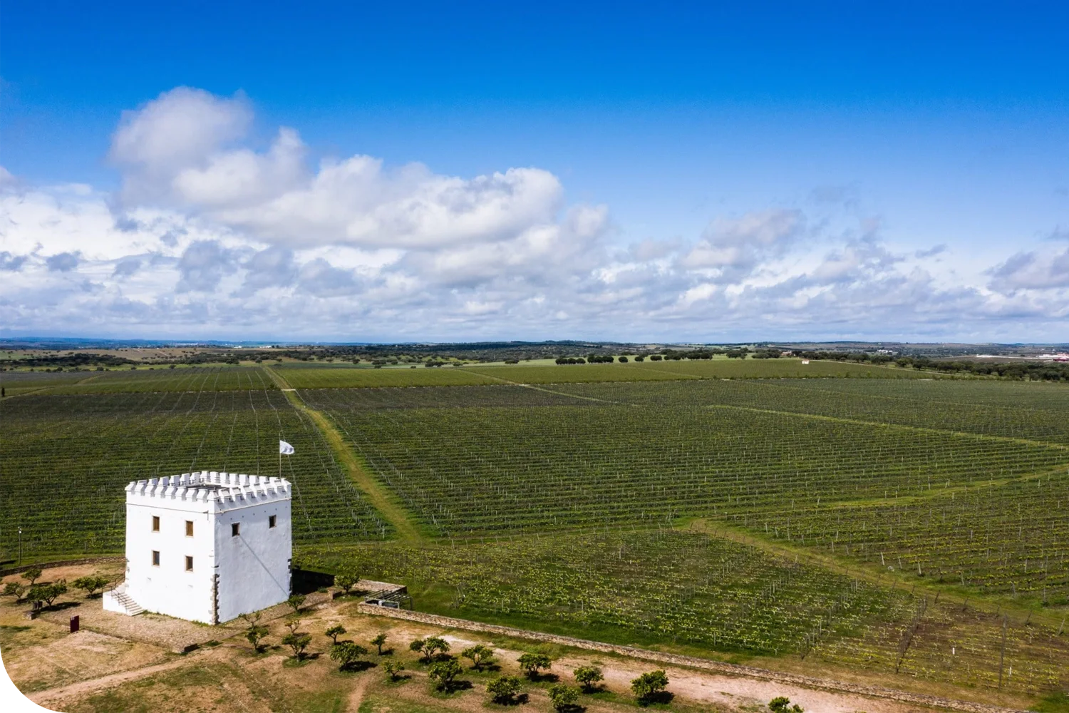 Herdade do Esporão | Alentejo