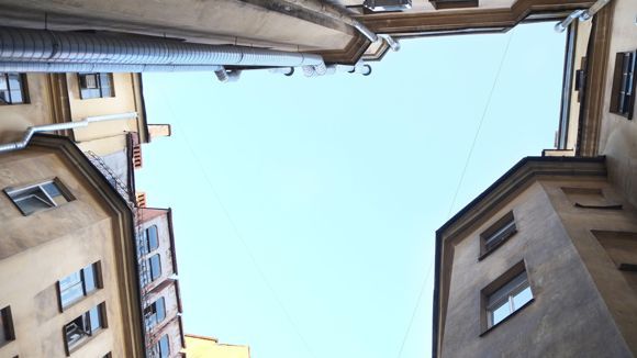 profile-3