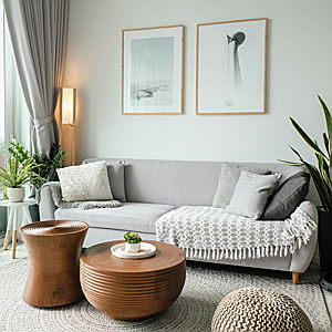 Cozy Living Room Couch Fund