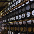 Chai moderne Racked Warehouse de la distillerie Pulteney dans les Highlands du nord-ouest d'Ecosse