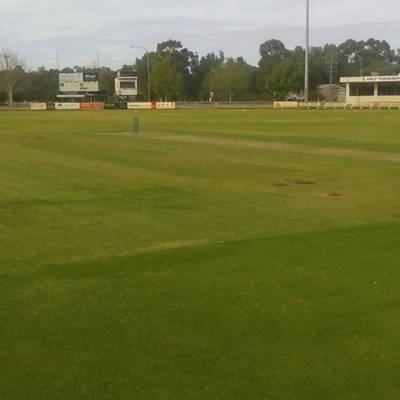 Moama Cricket Club Cricket Club Logo