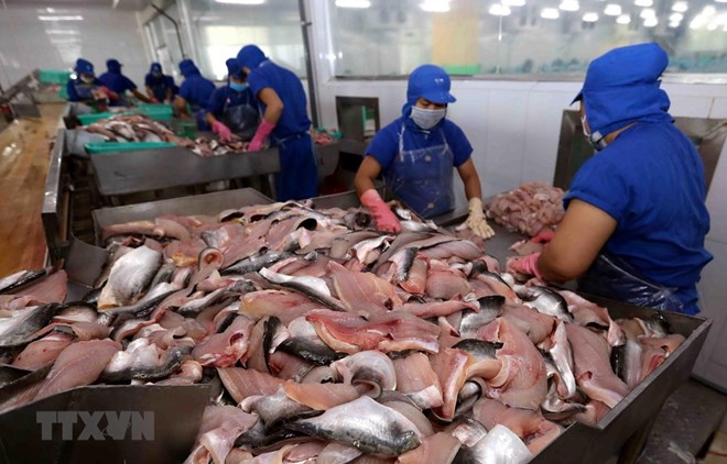 Vietnam’s tra fish exports to ASEAN up 18%