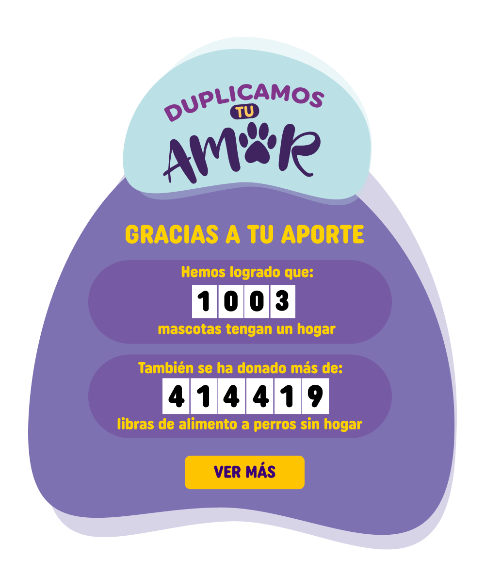 Donaciones - Triplicamos tu amor