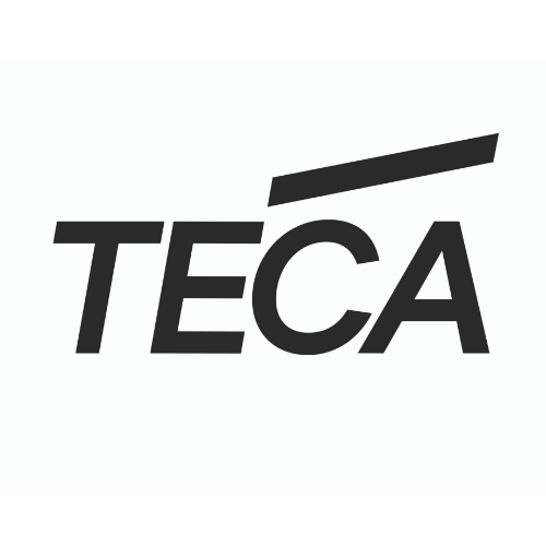 The image shows the word TECA in bold, black letters on a white background, with a thick black diagonal line above the letter A.