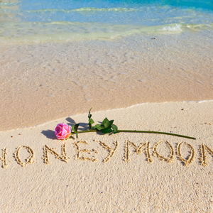 Honeymoon Fund