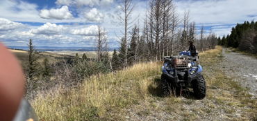 Big Belt Mountains Experience  near Townsend, MT